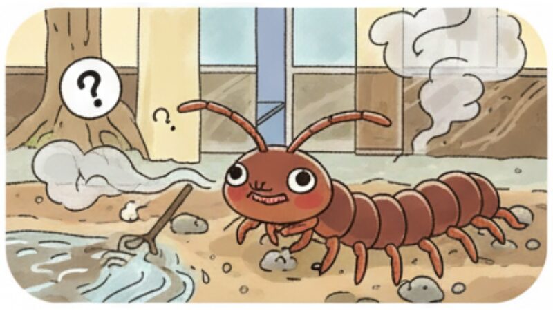 ムカデは匂いで寄ってくる？その原因を徹底解説