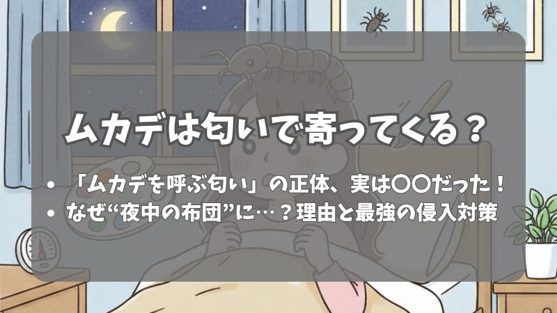 ムカデは匂いで寄ってくる？原因と最強の対策方法をプロが解説 