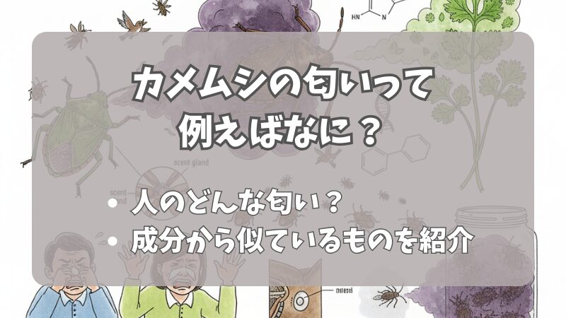 カメムシの匂いって例えば何？例えや成分・対策まで徹底解説 